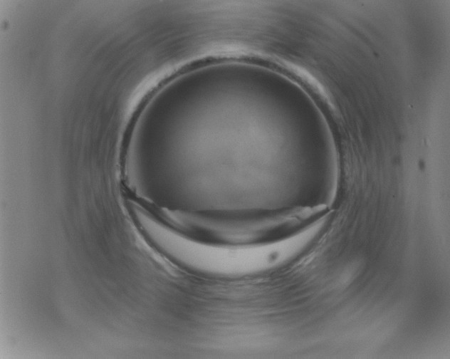 X0000075901327200609221927