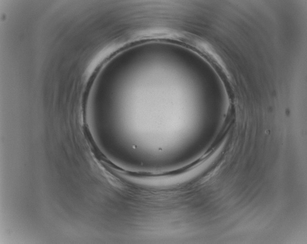 X0000075901328200609221927