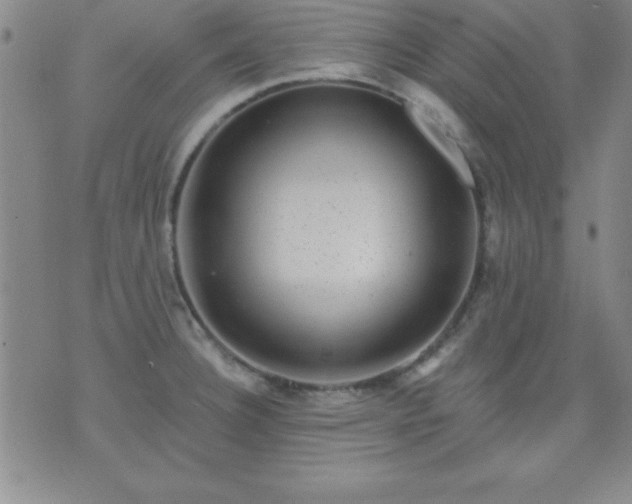 X0000075901332200609221927