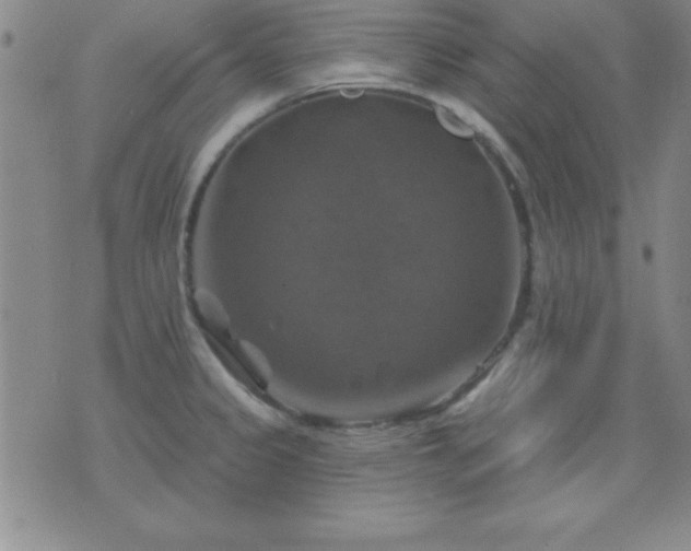 X0000075901333200609221927