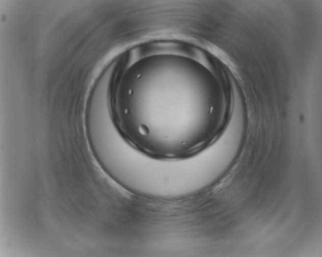 X0000075901334200609221927