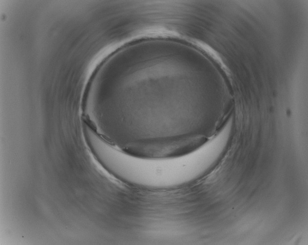 X0000075901335200609221927