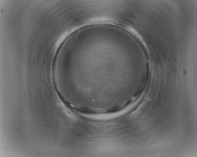 X0000075901336200609221927