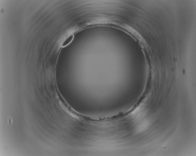 X0000075901337200609221927