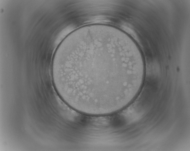 X0000075901338200609221927