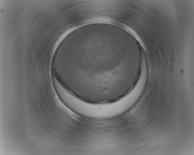 X0000075901339200609221927