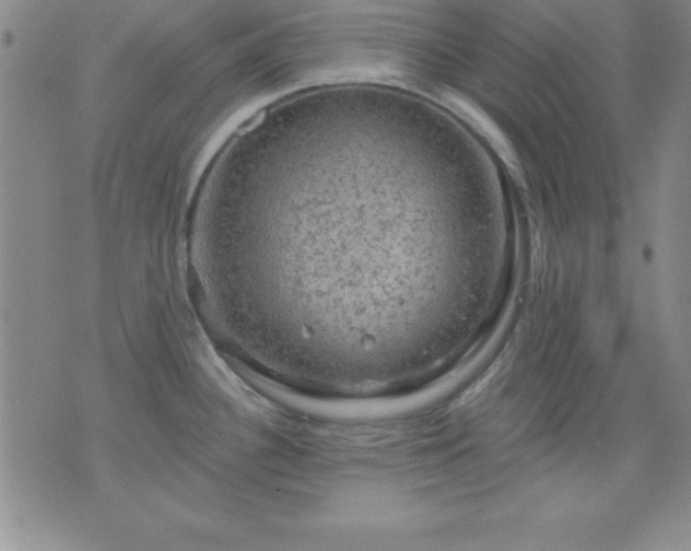 X0000075901340200609221927