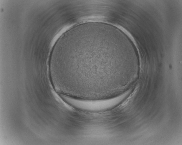 X0000075901341200609221927