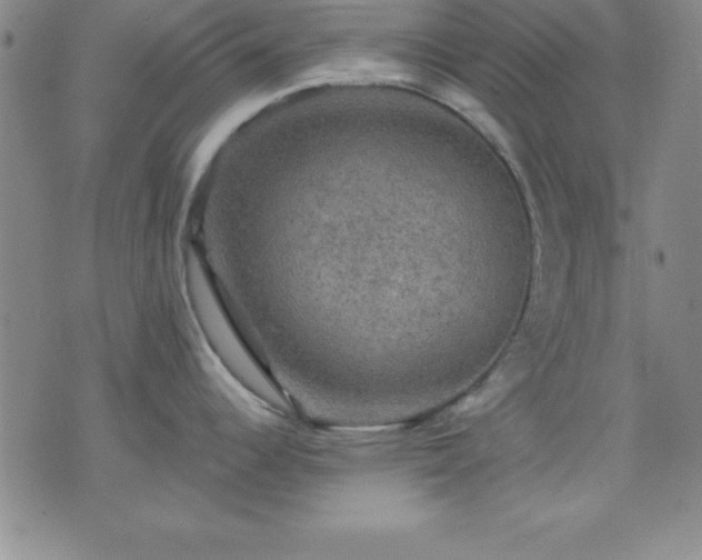 X0000075901344200609221927