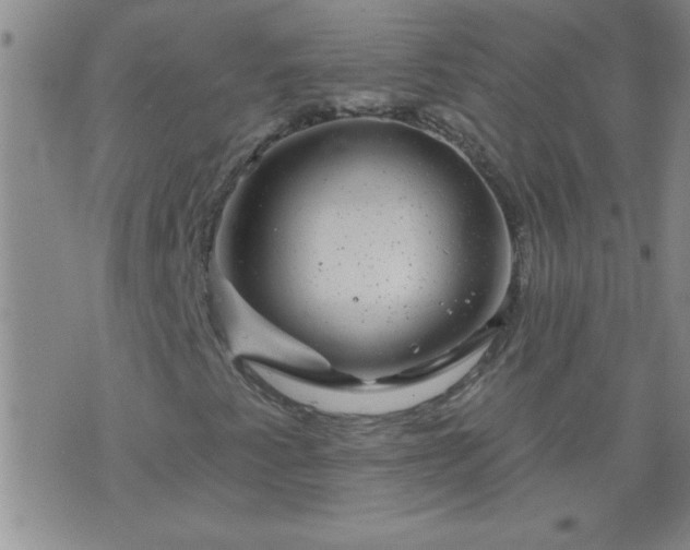 X0000075901345200609221926