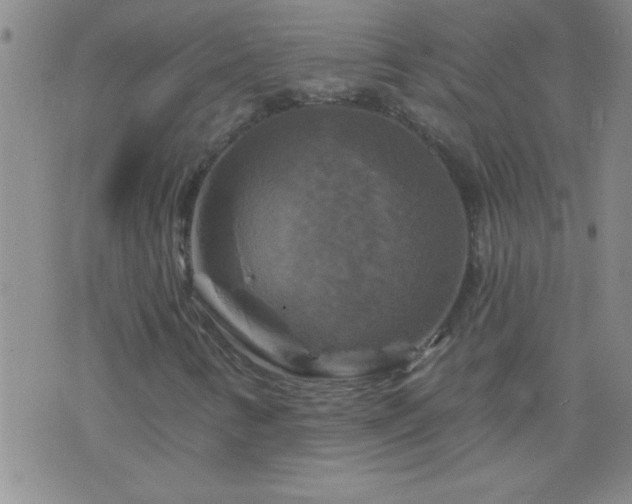 X0000075901346200609221926