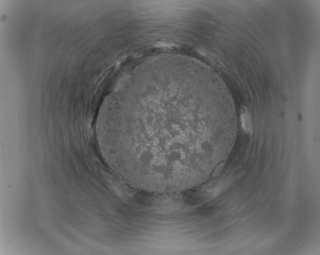 X0000075901347200609221926