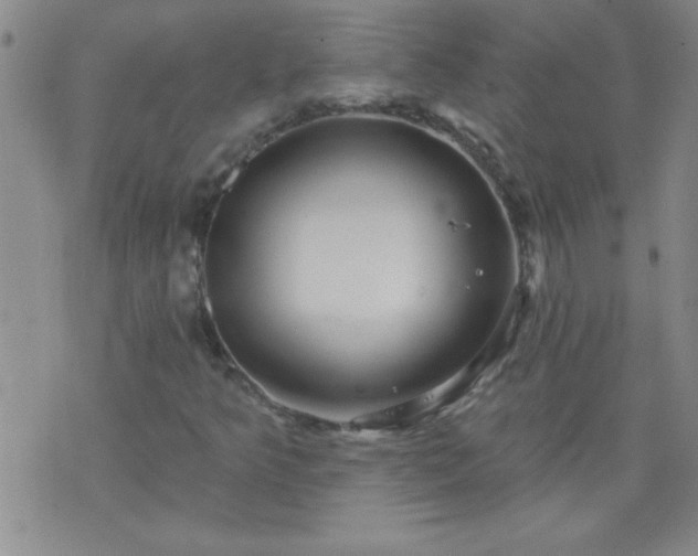 X0000075901349200609221926