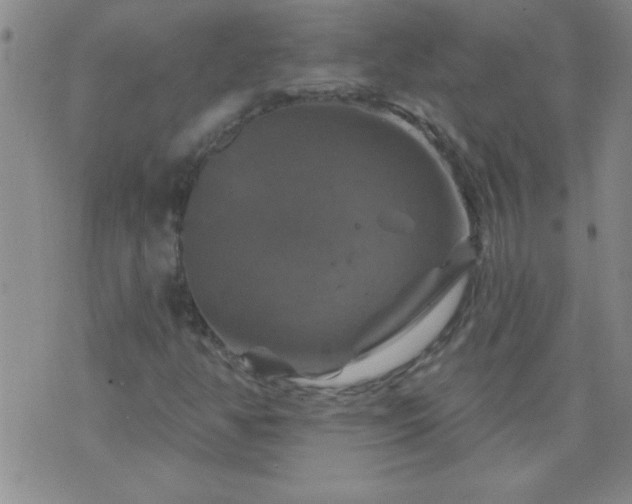 X0000075901350200609221926