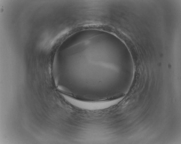 X0000075901351200609221926