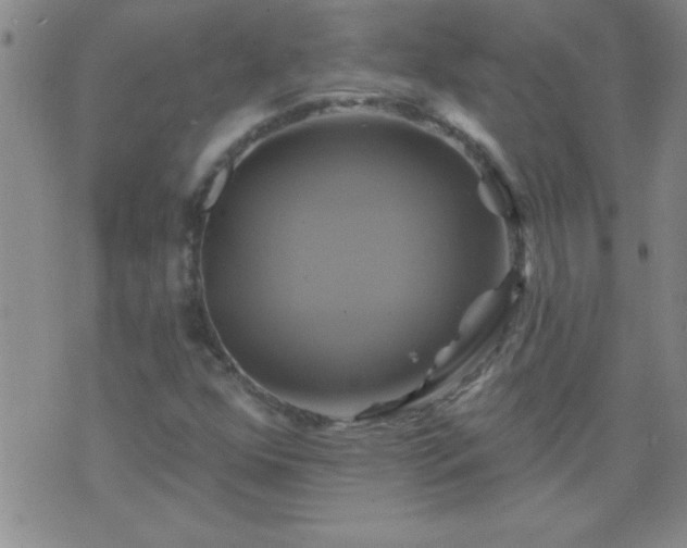 X0000075901352200609221926