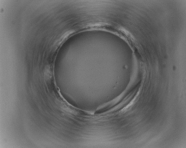 X0000075901353200609221926