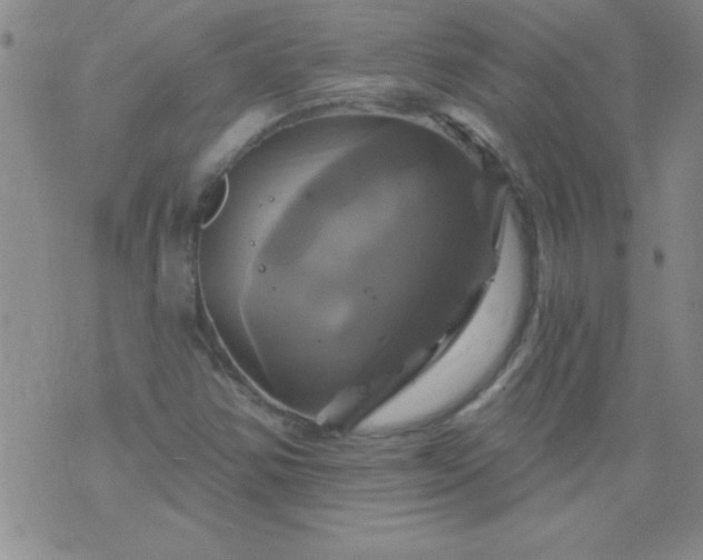 X0000075901354200609221926