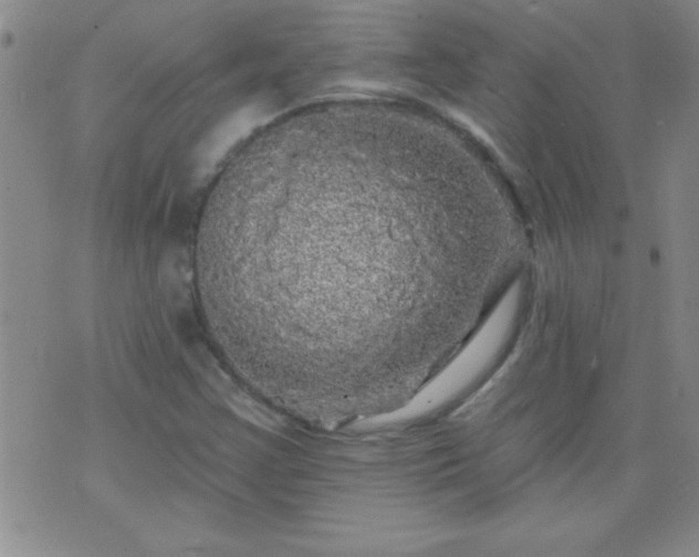 X0000075901355200609221926