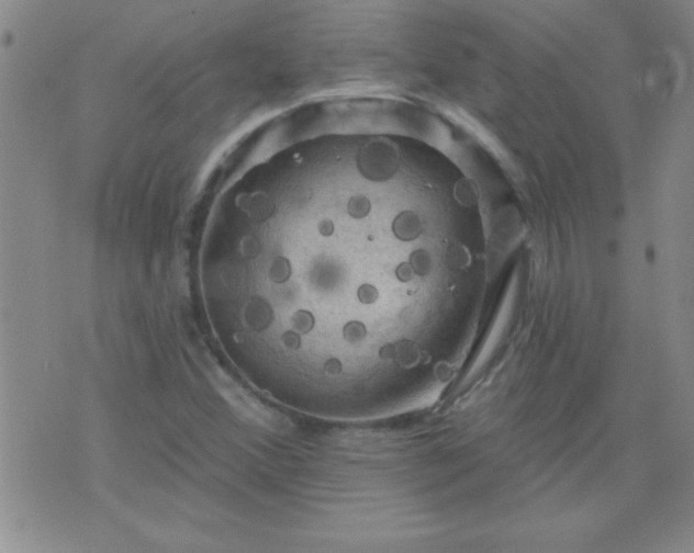 X0000075901356200609221926