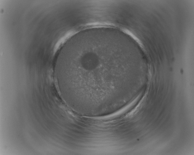 X0000075901357200609221926