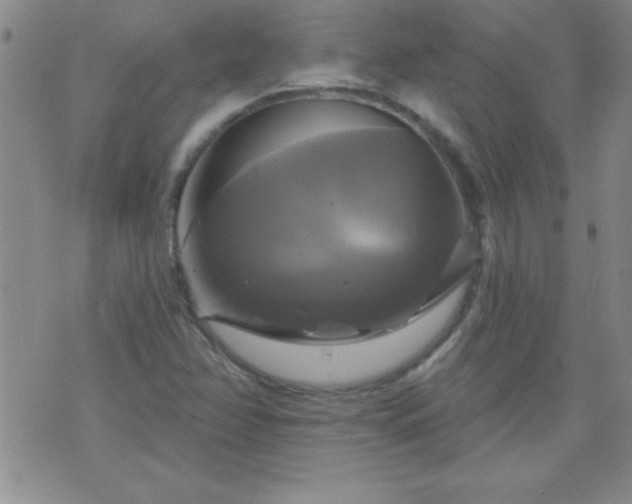 X0000075901358200609221926