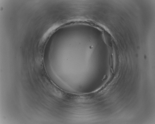 X0000075901359200609221926