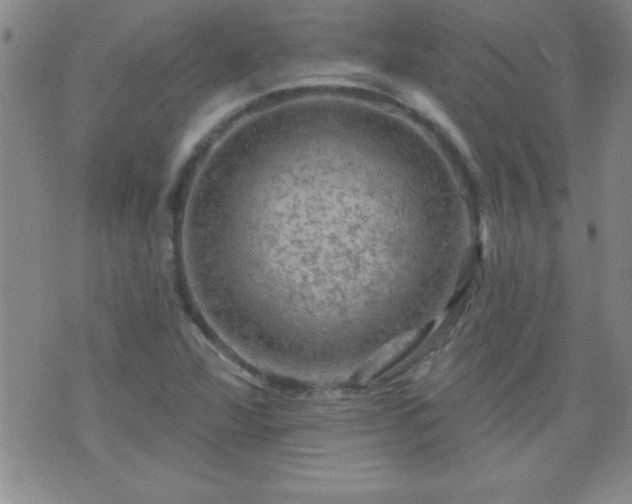 X0000075901360200609221926