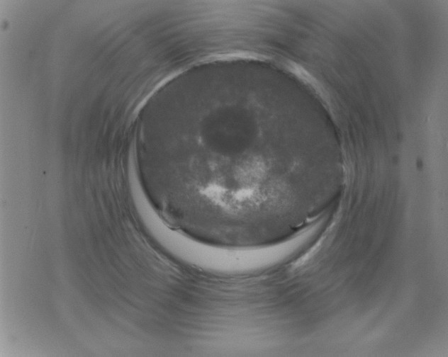 X0000075901361200609221926