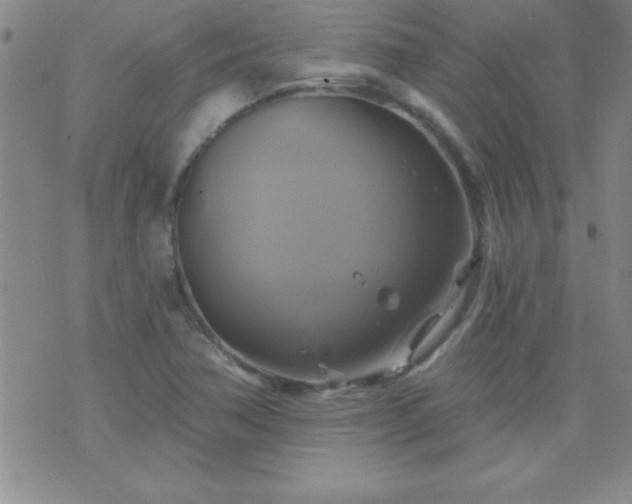 X0000075901362200609221926