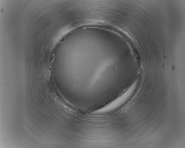 X0000075901363200609221926