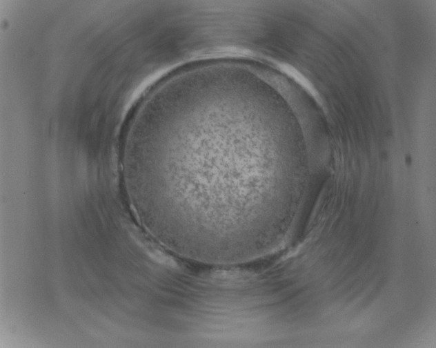 X0000075901364200609221926