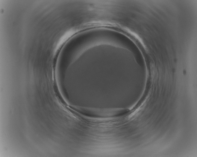 X0000075901365200609221926