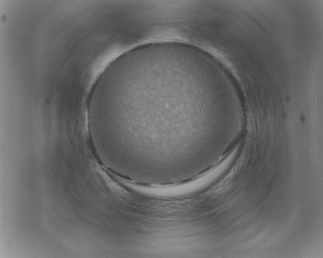 X0000075901366200609221926