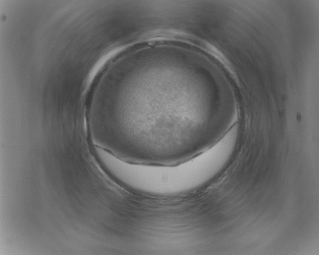 X0000075901368200609221926