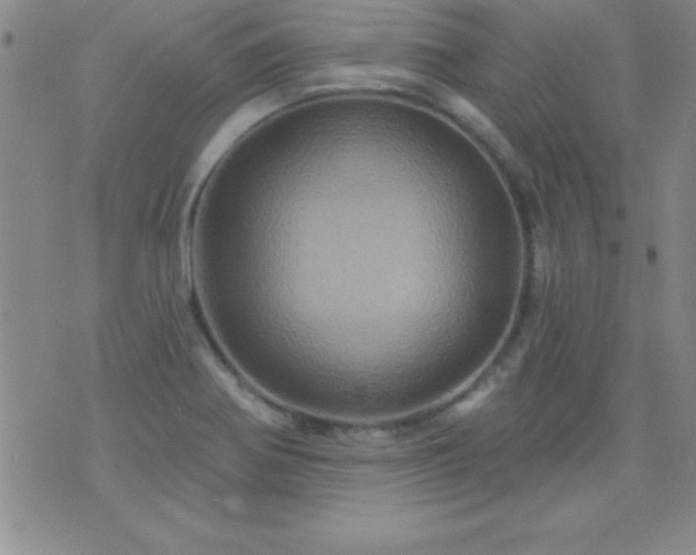 X0000075901370200609221926