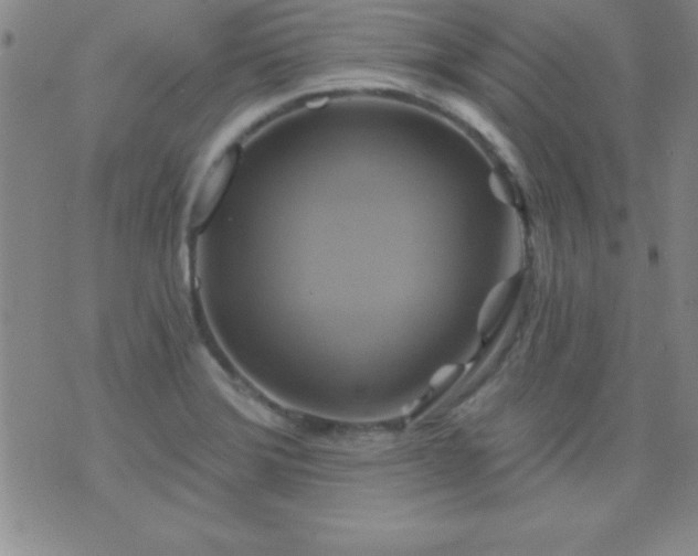 X0000075901372200609221926