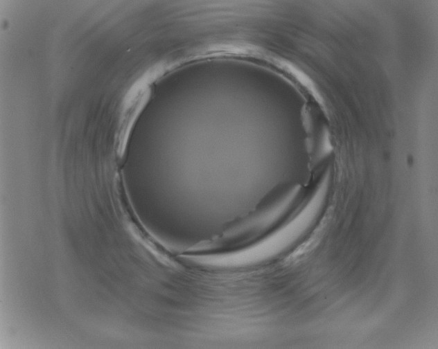 X0000075901373200609221926