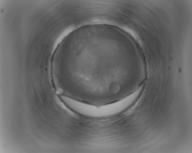 X0000075901374200609221926