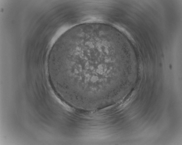 X0000075901375200609221926