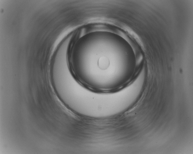 X0000075901376200609221926