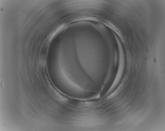 X0000075901377200609221926