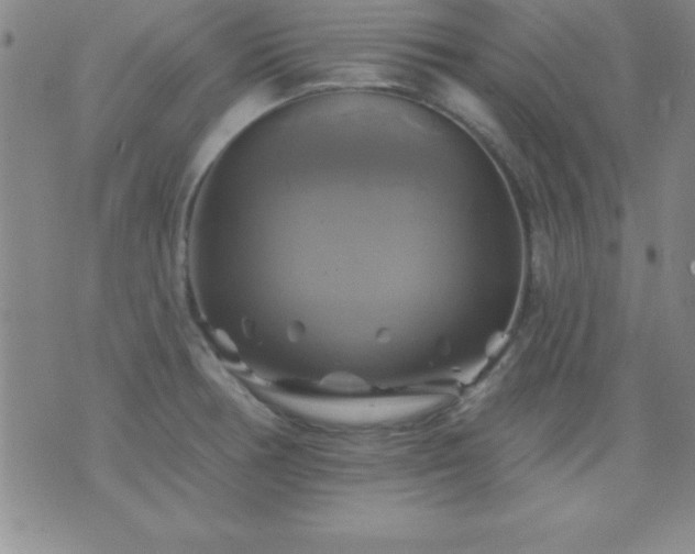 X0000075901378200609221926