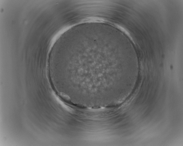 X0000075901379200609221926