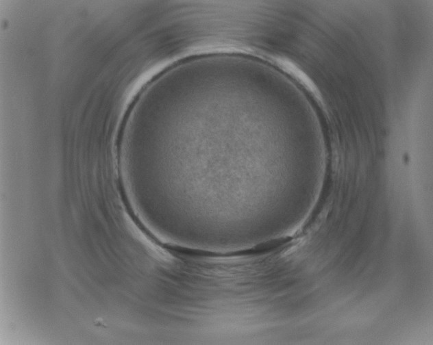 X0000075901380200609221926