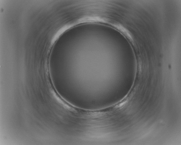 X0000075901382200609221926