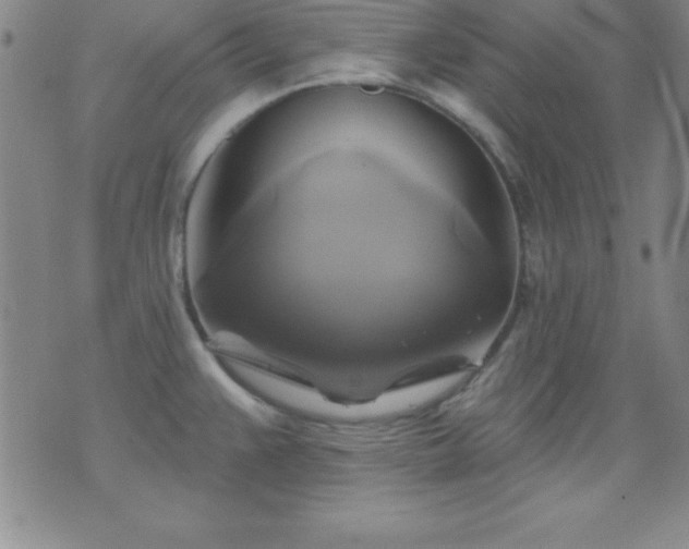 X0000075901383200609221926