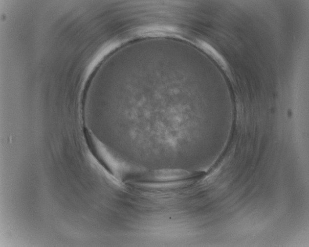 X0000075901384200609221926