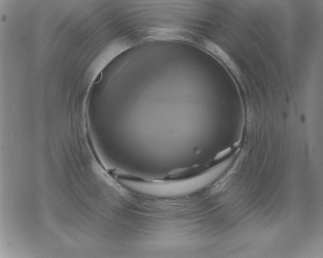 X0000075901386200609221926