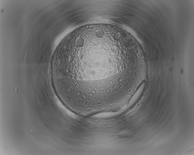 X0000075901387200609221926